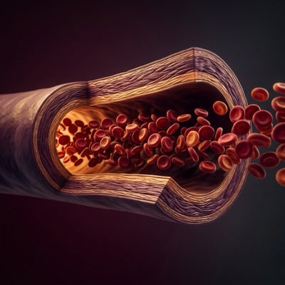 Blood Flow & Delivery